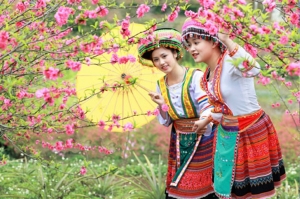 Sapa by bus 2 days 1 night in homestay