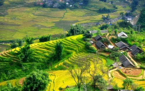 Sapa Easy Trekking 2 Days 3 Nights (Overnight at Hotel)