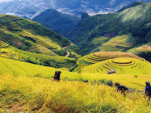 Du lịch Sapa